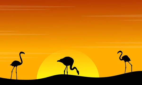 Silhouet van flamingo landschap bij zonsondergang — Stockvector