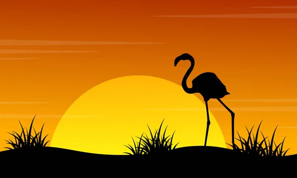 At sunset flamingo scenery silhouettes — Stock Vector
