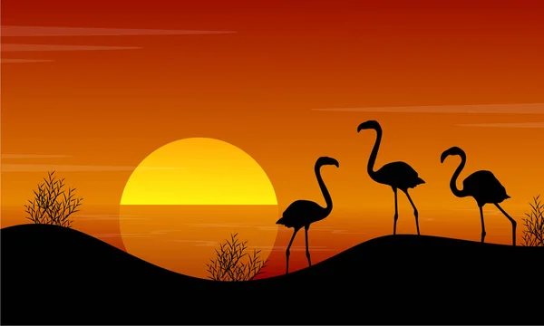 Ao pôr do sol flamingo na paisagem do lago — Vetor de Stock