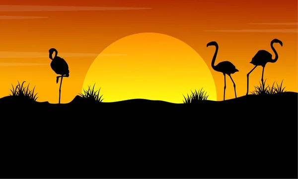 Το ηλιοβασίλεμα με φλαμίνγκο σιλουέτα τοπίο — Διανυσματικό Αρχείο