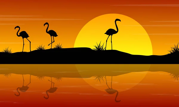 Vector illustration of flamingo at sunset scenery — Stock Vector