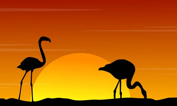 Silhueta de flamingo ao pôr do sol paisagem de beleza — Vetor de Stock