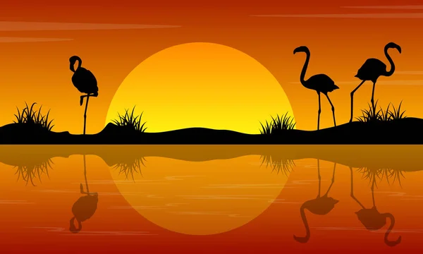 Paisagem do lago com flamingo ao pôr do sol silhuetas — Vetor de Stock