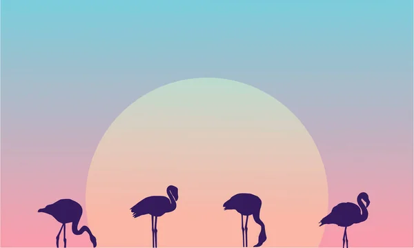 Paisagem de beleza de manhã com silhuetas flamingo — Vetor de Stock