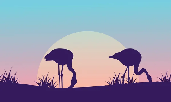 Σιλουέτα του flamingo στο λόφο στο τοπία Ανατολή — Διανυσματικό Αρχείο