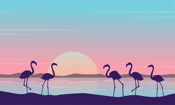 Ao nascer do sol flamingo paisagem silhuetas — Vetor de Stock