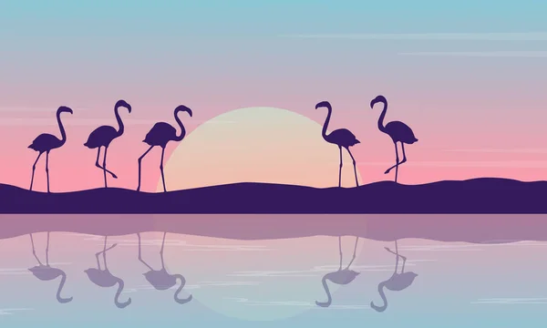 Au lever du soleil flamant rose sur le paysage riverain — Image vectorielle