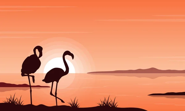Силуэт фламинго на озере — стоковый вектор