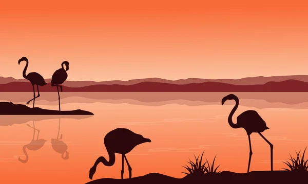Silhouette des Flamingos auf der Seenlandschaft — Stockvektor