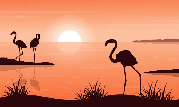 Paysage de beauté de flamant rose au coucher du soleil silhouettes — Image vectorielle