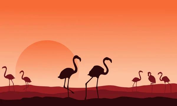 Kolekce flamingo scéna silueta — Stockový vektor