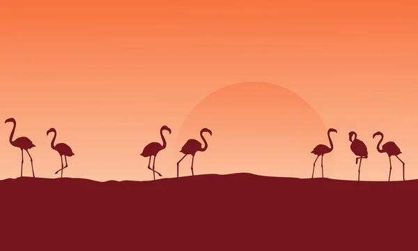 Landschap flamingo op heuvel silhouetten — Stockvector