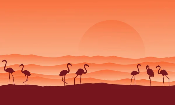 Pustynia krajobraz z flamingo sylwetki — Wektor stockowy