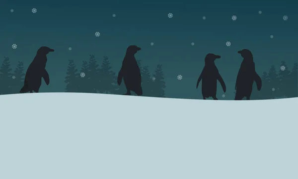 Pinguim em silhuetas de paisagem noturna — Vetor de Stock