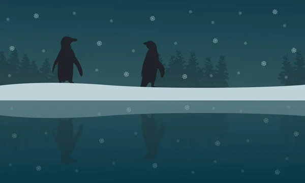 Sylwetka pingwina z odbicie pejzaż — Wektor stockowy