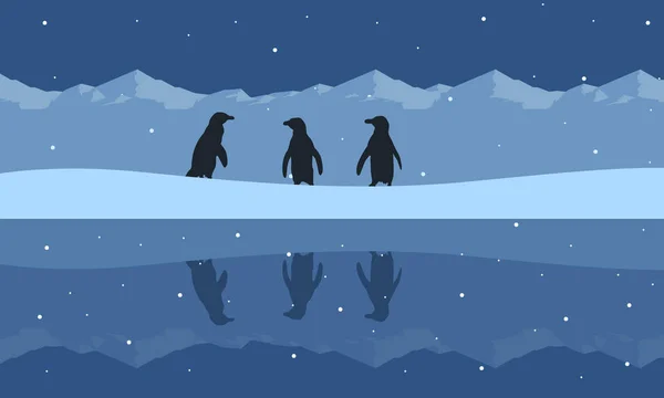 Silueta de paisajes de belleza de pingüinos en la colina de nieve — Archivo Imágenes Vectoriales