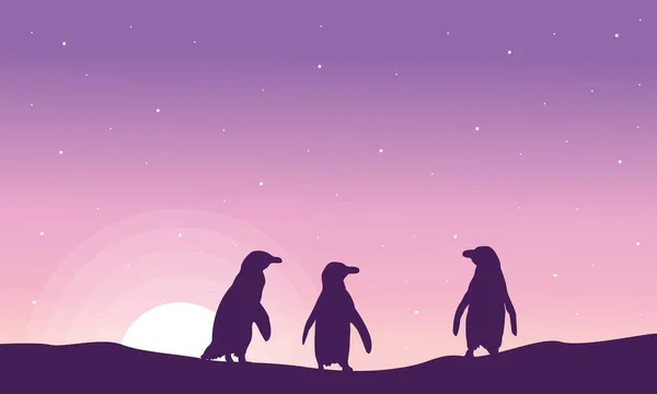 Silueta de pingüino al amanecer — Archivo Imágenes Vectoriales