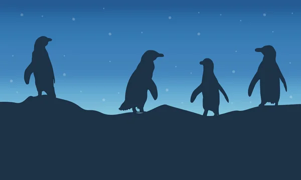 Líneas de pingüinos en la colina por la noche paisaje — Archivo Imágenes Vectoriales