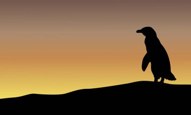 Güzellik manzara penguen siluetleri ile