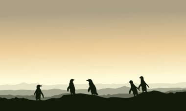 Koleksiyon hisse senedi penguen manzara tepe üzerinde