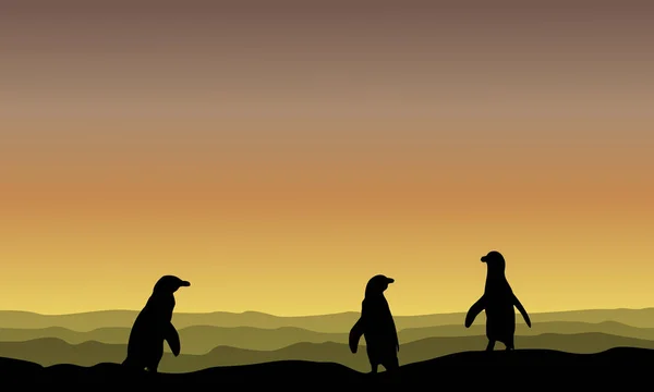 Silhuetten av pingvin på sunrise landskap — Stock vektor