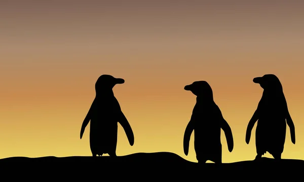 Silhouette de pingouin au coucher du soleil — Image vectorielle