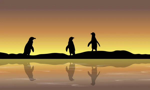 Sammlung Pinguin Landschaft Silhouetten — Stockvektor