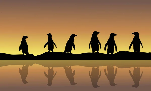Landskap av pingvin siluett i solnedgången — Stock vektor