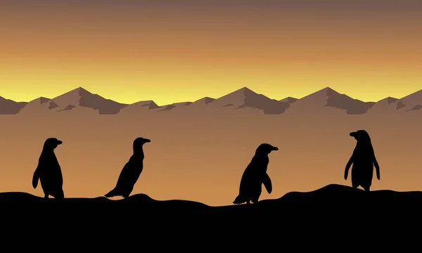 Sammlung Bestand Pinguin Landschaft Silhouetten — Stockvektor