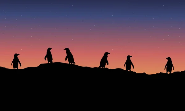 Paisaje de pingüinos forrados por la noche — Archivo Imágenes Vectoriales
