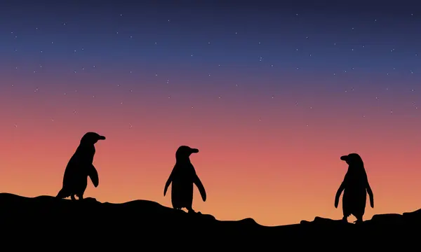Silhouette des Pinguins bei Nacht Landschaft — Stockvektor
