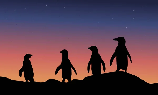 W dekoracje nocy Pingwin sylwetka — Wektor stockowy