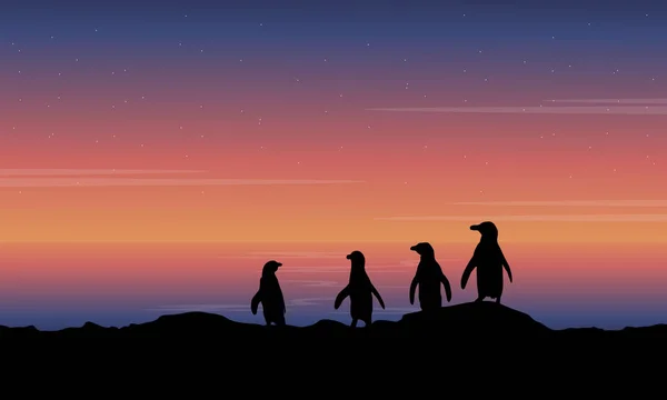Пингвин на холме пейзаж силуэтов — стоковый вектор
