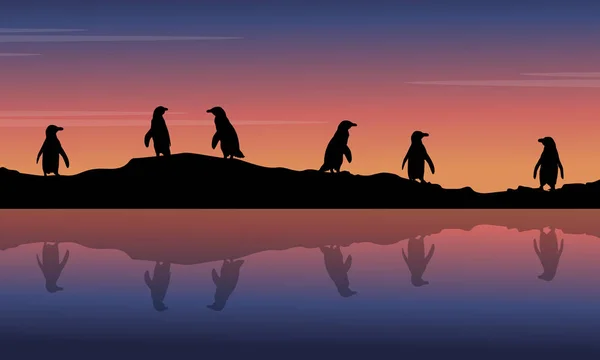 Bij nacht landschap met silhouetten van de pinguïn — Stockvector