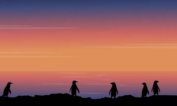 Silhouette der Pinguin Schönheit Landschaft — Stockvektor