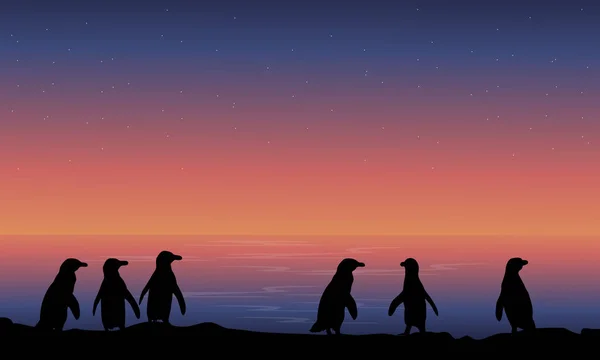 Sylwetka pingwina nocny krajobraz — Wektor stockowy