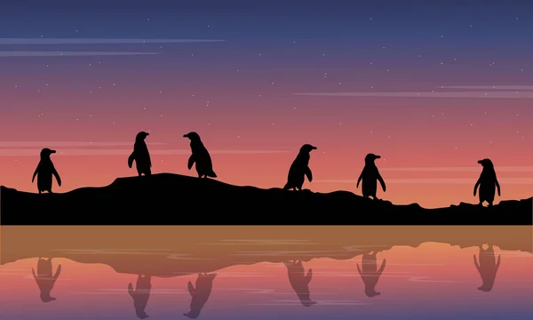 Illustrazione paesaggio di bellezza con silhouette pinguino — Vettoriale Stock