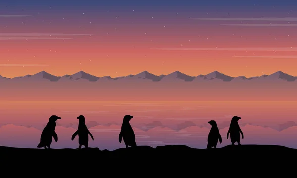 Skönhet natur pingvin silhuett stil — Stock vektor