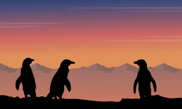 Di notte pinguino silhouette bellezza paesaggio — Vettoriale Stock