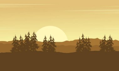 Tepenin Ladin ağacı sahne siluet