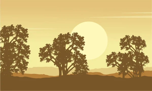 Collection of tree on hill scenery — Stock Vector