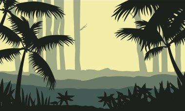 Orman ağaç manzara ile silüeti