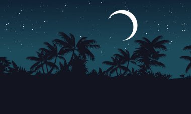 Palmiye ağacı siluet ile gece jungle