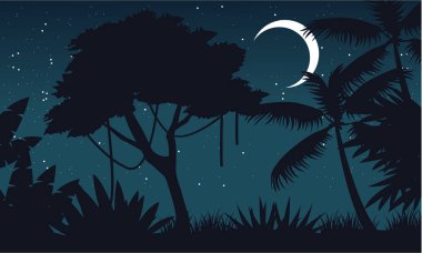 Ay manzara ile gece orman