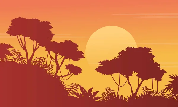 Schönheit Landschaft Dschungel mit Baumsilhouette — Stockvektor