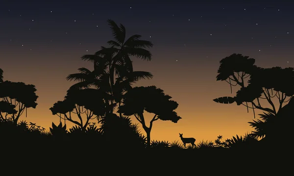 Am Morgen Szene Dschungel mit Baumsilhouette — Stockvektor