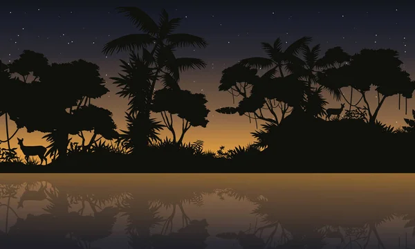 Jungle de silhouette avec paysage de beauté lac — Image vectorielle
