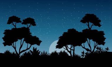 Gece orman sahne ile ağaç siluet