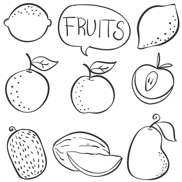 Doodle различные сорта фруктов — стоковый вектор