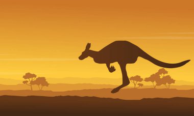 Kanguru güzellik sahne Hill